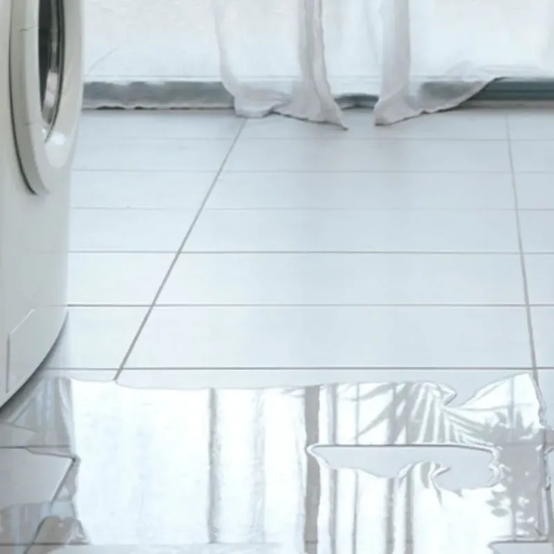Appliance Leak Cleanup in Adairsville, GA
