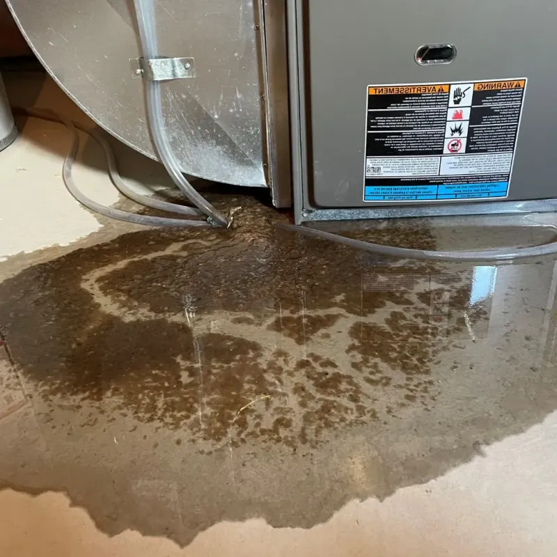 Pipe Burst and Leak Restoration in Adairsville, GA