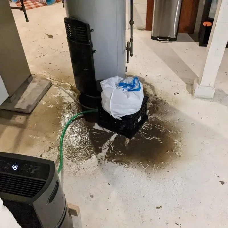 Sewage Backup Cleanup Service in Adairsville, GA